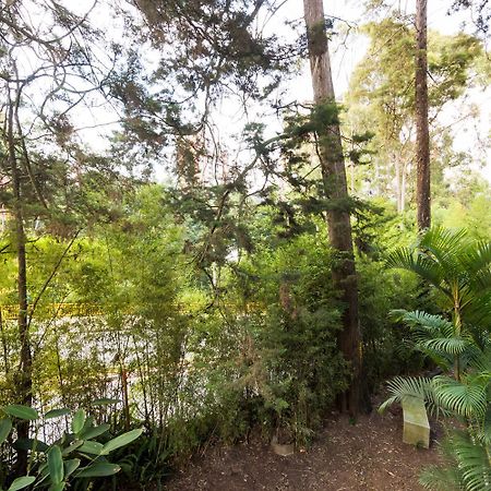Foresta Hotel Μεντεγίν Εξωτερικό φωτογραφία