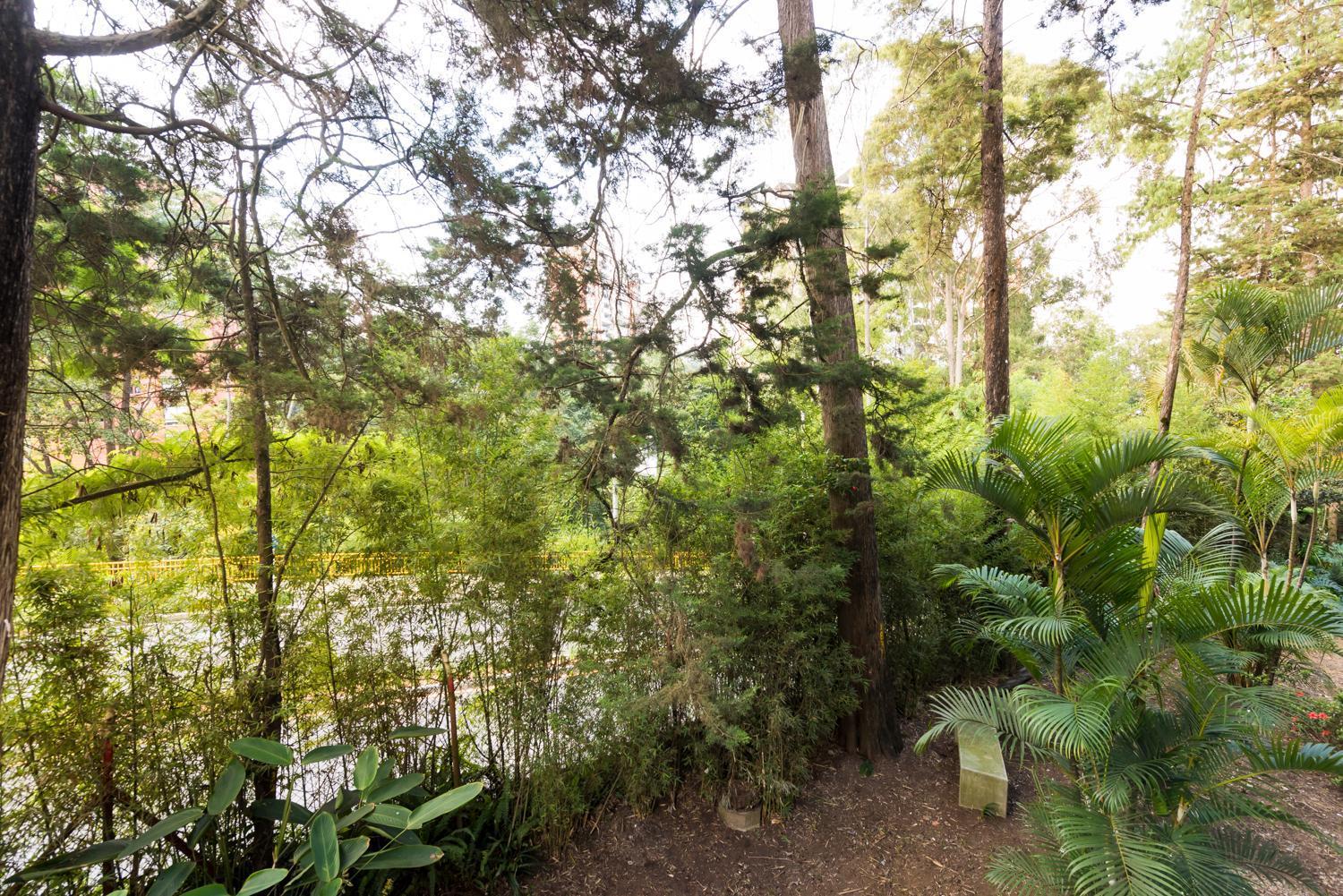 Foresta Hotel Μεντεγίν Εξωτερικό φωτογραφία
